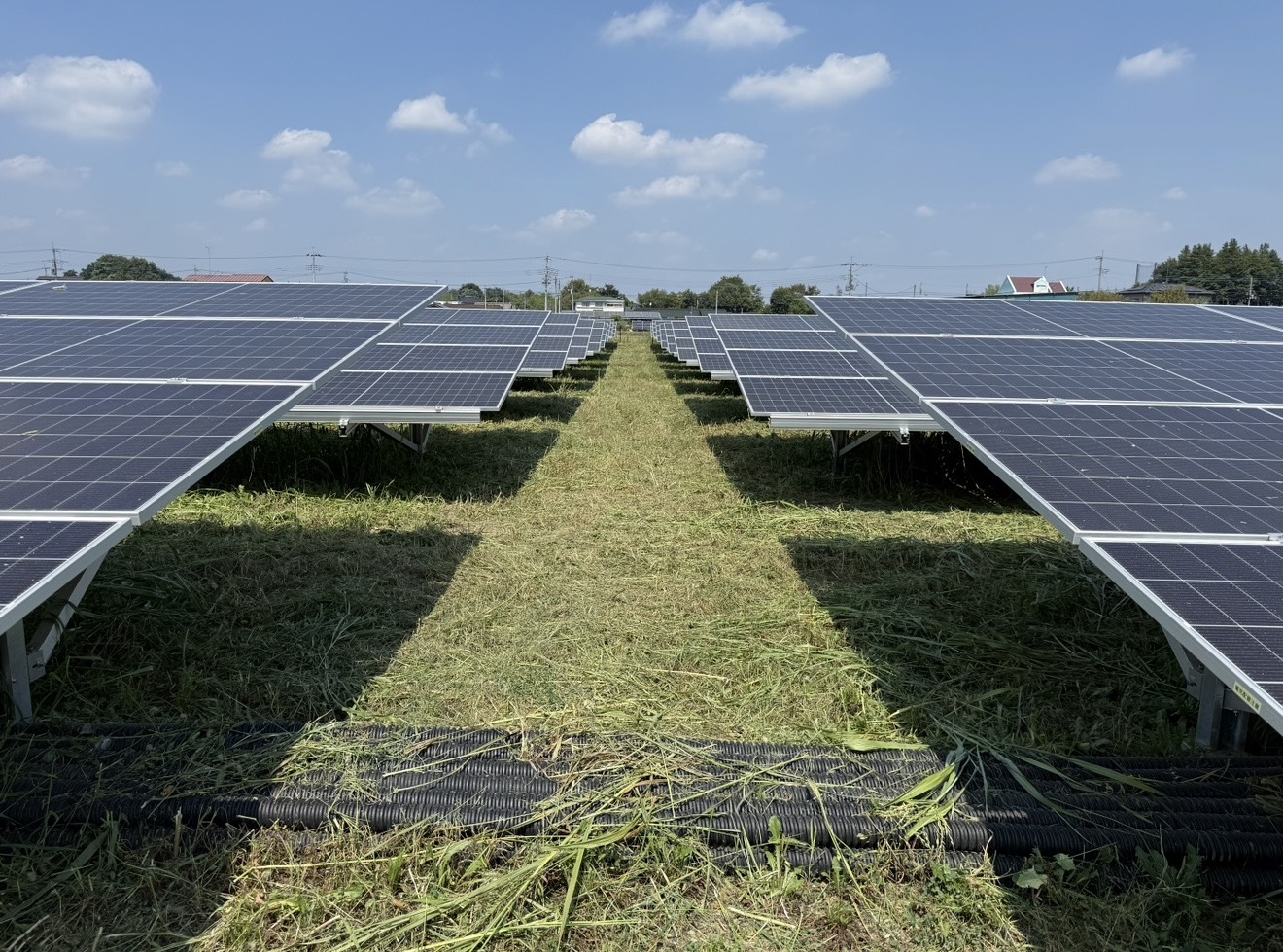 太陽光発電所 現場写真1