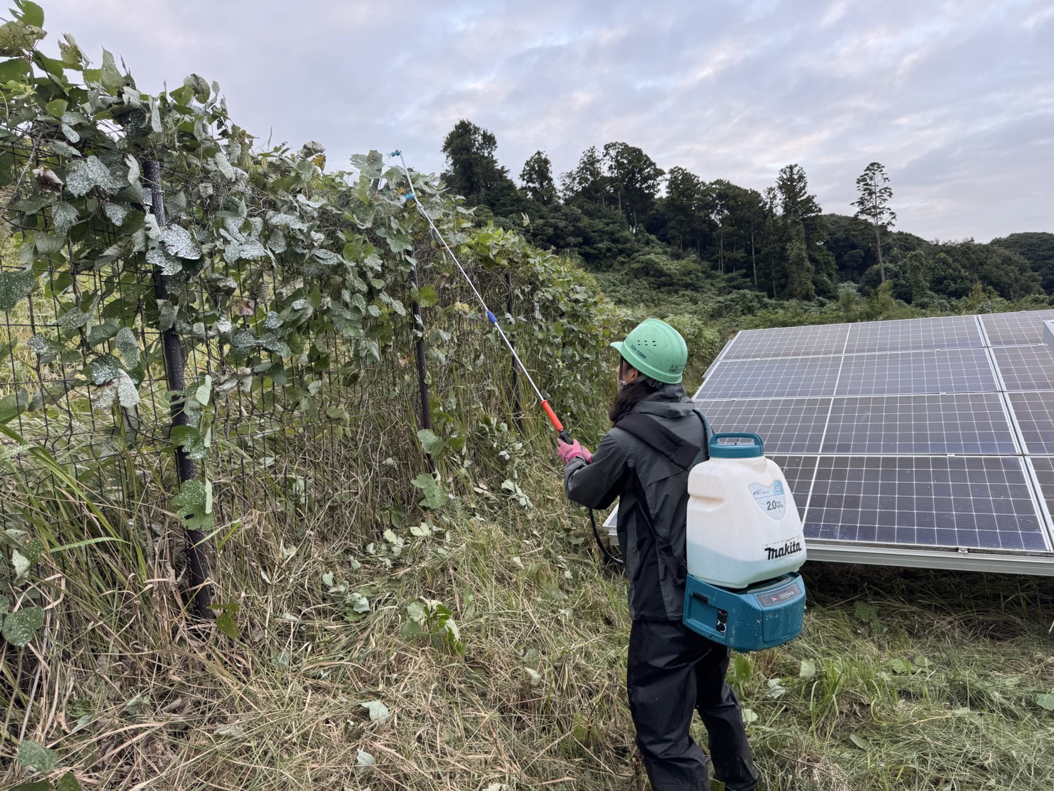 太陽光発電所O&M